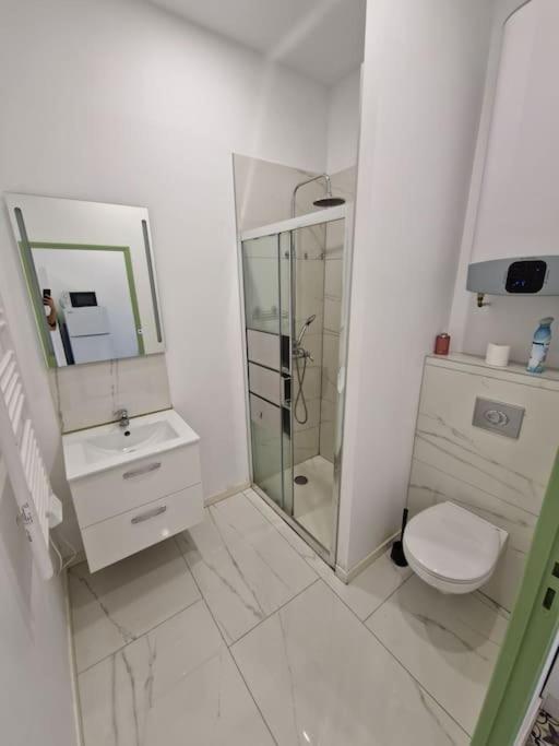 T1 Bis 1 Chambre Saint-Etienne  Exterior photo
